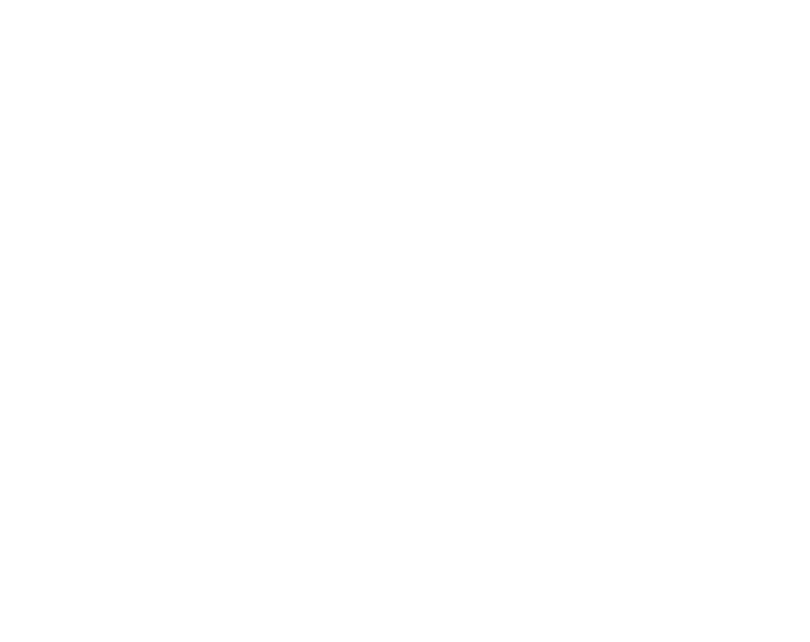 Dysmys Logo